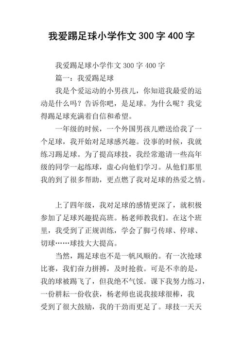 我爰足球作文