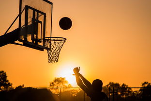 NBA直播的魅力与挑战