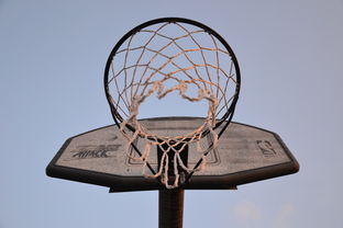 NBA录像分析与篮球训练技巧