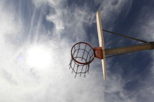 洛杉矶湖人队与克利夫兰骑士队的NBA对决，一场充满激情和战术策略的比赛