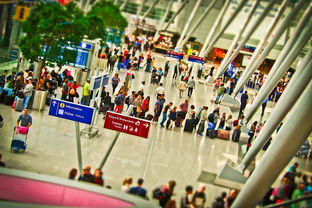 李娜的九运会之旅，从赛场到人生的转变