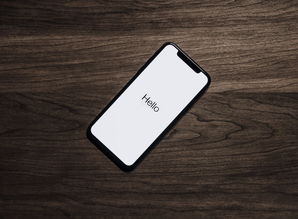 粉色iPhone16，探索苹果新推出的手机系列