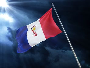 打造精英运动员，从基础到巅峰的全方位训练计划