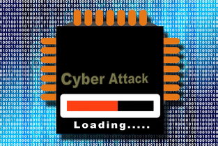 全面提升你的篮球技能——从基础到进阶的全面训练计划