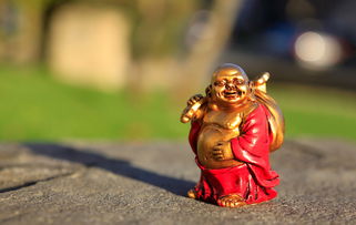 彩色直播|彩色直播，信息时代的双刃剑与媒体责任的再思考