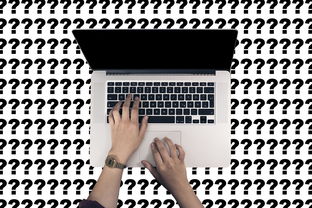 蓝莓直播|蓝莓直播，数字时代直播互动的新典范