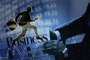 6号直播|6号直播，多元化社交与游戏直播的融合探索
