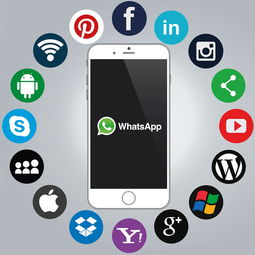 黑白直播|黑白直播最新版本app下载|直播软件大全|免费安装畅享直播