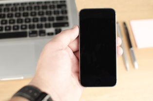 战旗直播|战旗直播app官方正版下载|观看app大全下载最新版本免费安装软件